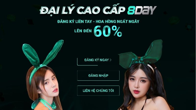 Tìm hiểu về các điều khoản đại lý 8Day cần tuân thủ